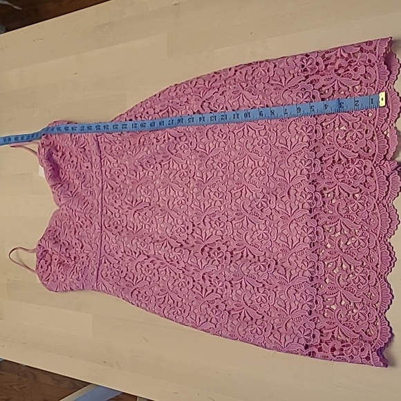NWT J.Crew Guipure Pink Spaghetti Strap Lace Lined Scalloped Neckline/Hem Dress - Picture 17 of 17